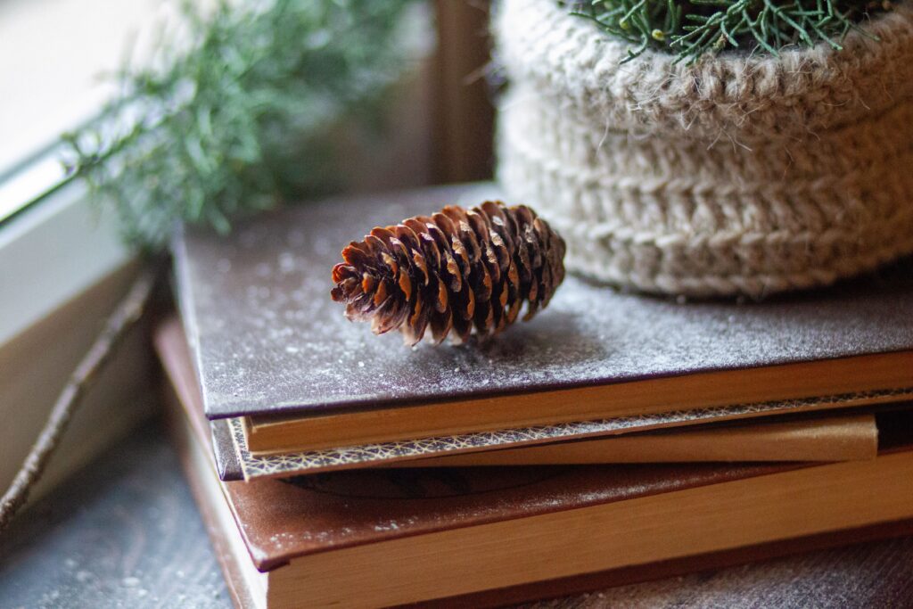 A cozy scene with a pinecone placed on books near a window, and a knitted pot planter, evoking a wintery feel.